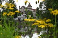 Aist_Schloss_Hanni Schinnerl_August